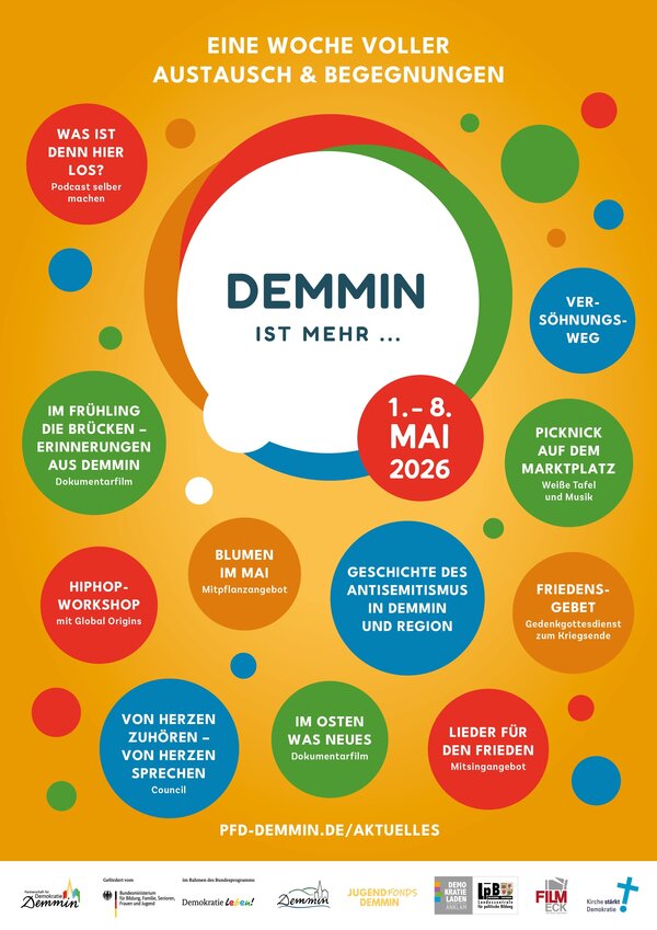 Bild vergr&ouml;&szlig;ern: Plakat - Demmin ist mehr