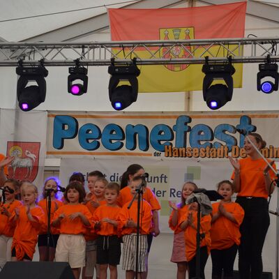 Bild vergr&ouml;&szlig;ern: Impressionen vom 33. Peenefest