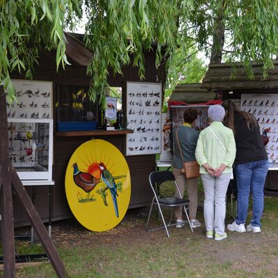 Bild vergr&ouml;&szlig;ern: Impressionen vom 33. Peenefest
