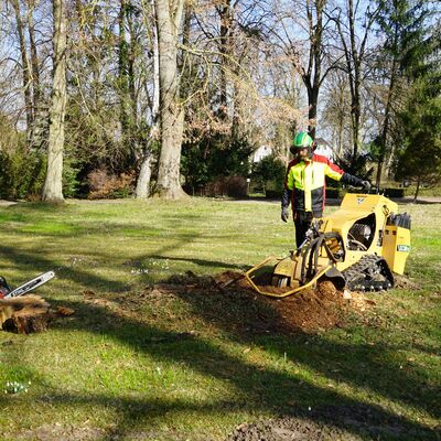 Bild vergr&ouml;&szlig;ern: Sanierung 45-er Gräberfeld