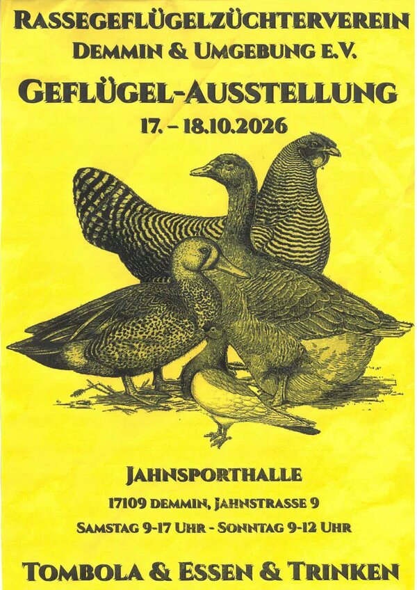 Bild vergr&ouml;&szlig;ern: RGZV