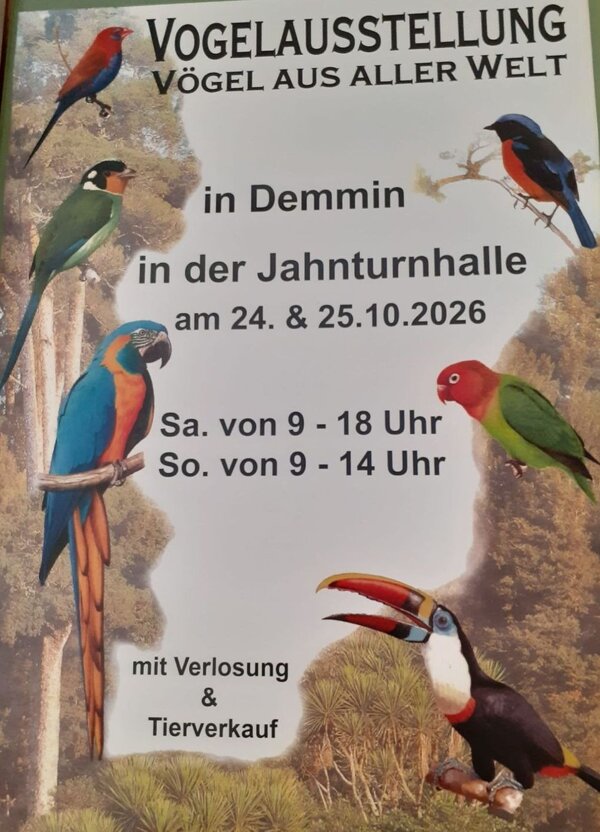 Bild vergr&ouml;&szlig;ern: VZED