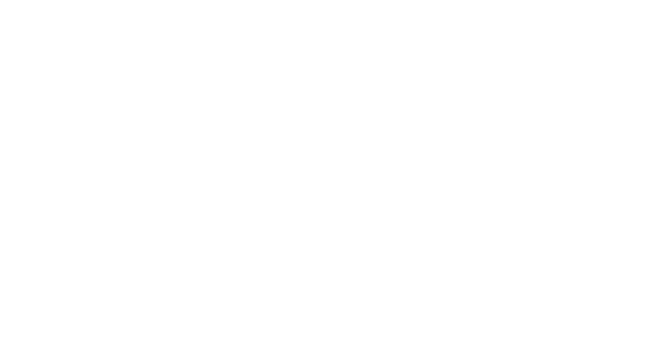 Hansestadt Demmin